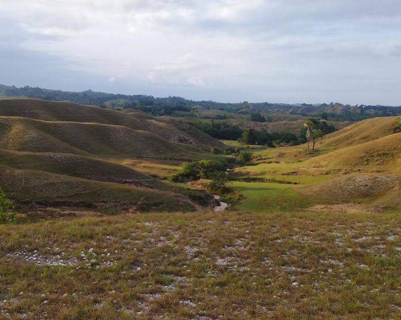 Khawatir Dampak Negatif ke Ternak dan Bukit Teletabis, PT Bumi Silika Bombana Ditolak