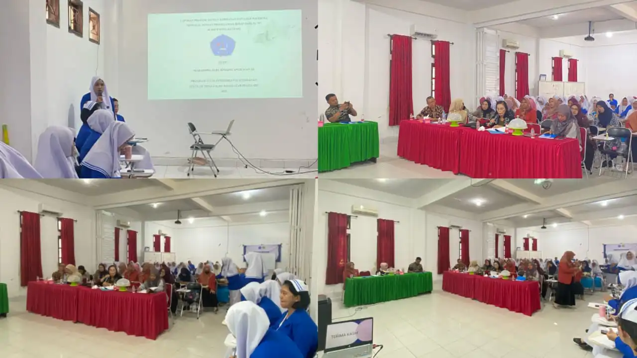 Mahasiswa S1 Kebidanan STIKes Pelita Ibu Kendari Gelar Seminar KKP, Refleksi Pengalaman Praktik di Rumah Sakit