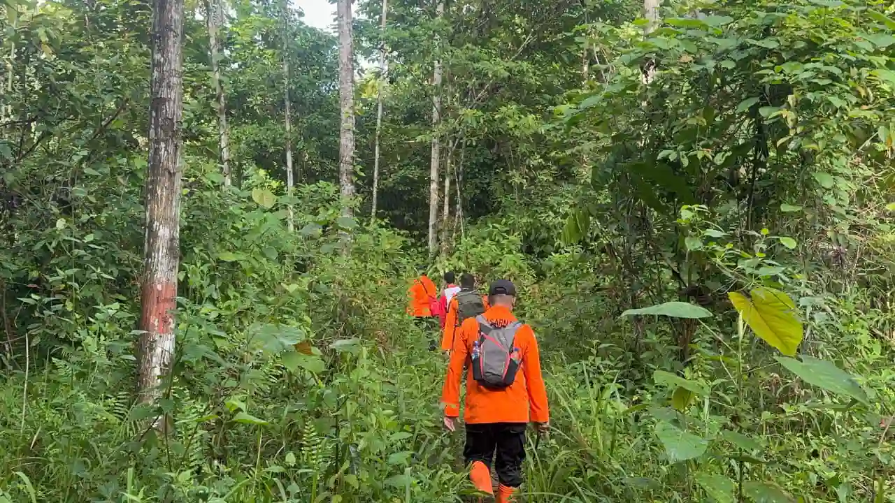 Nenek 74 Tahun Hilang Misterius di Kebun Kumbewaha Buton