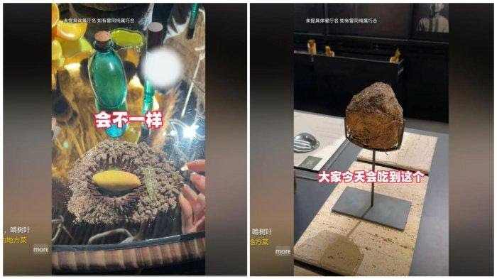 Viral, Hidangan Kotoran Gajah Dihargai Rp 9 Juta di Restoran Mewah