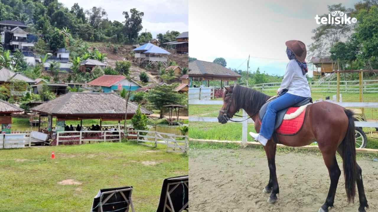 Agrowisata California Konsel jadi Rekomendasi Liburan Akhir Pekan, Tawarkan Sensasi Berkuda dan Memanah