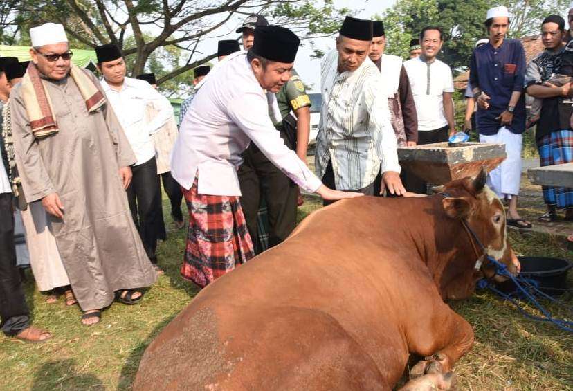 Cek Jadwal Libur Idul Adha 2025 Versi Pemerintah, NU dan Muhammadiyah