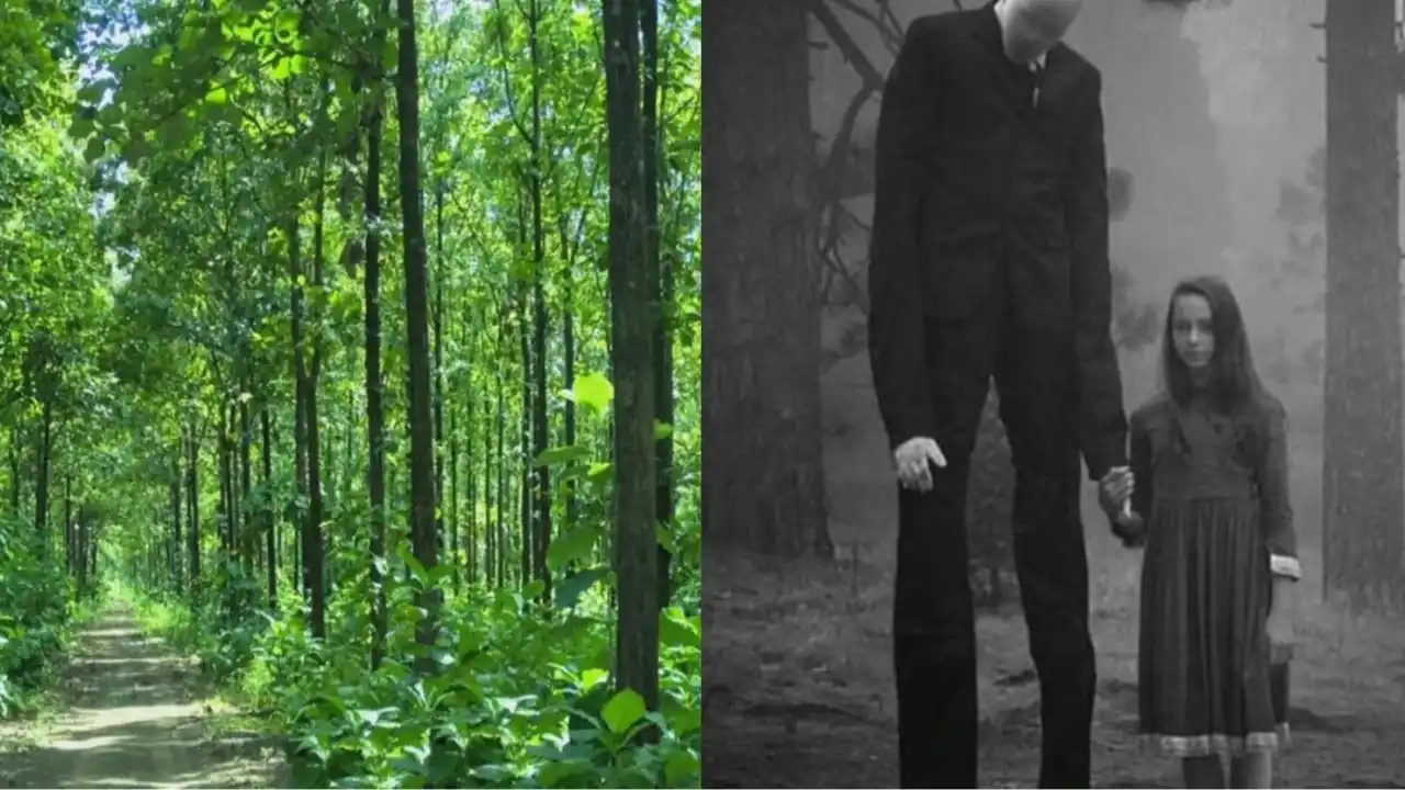 Cerita Mistik Hantu Longga Setinggi Pohon Jati, Culik Anak-anak Keluar di Waktu Magrib