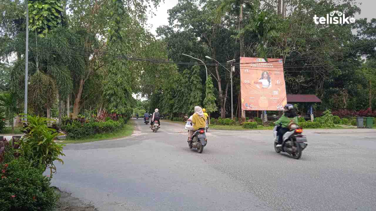 Derita Predikat Cumlaude Tak Lulus CPNS, Bertahan Hidup jadi Ojol Khusus Wanita di Kendari