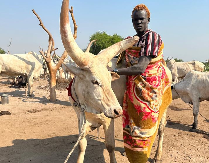 Kebiasaan Unik Suku Mundari, Keramas Pakai Air Kencing Sapi