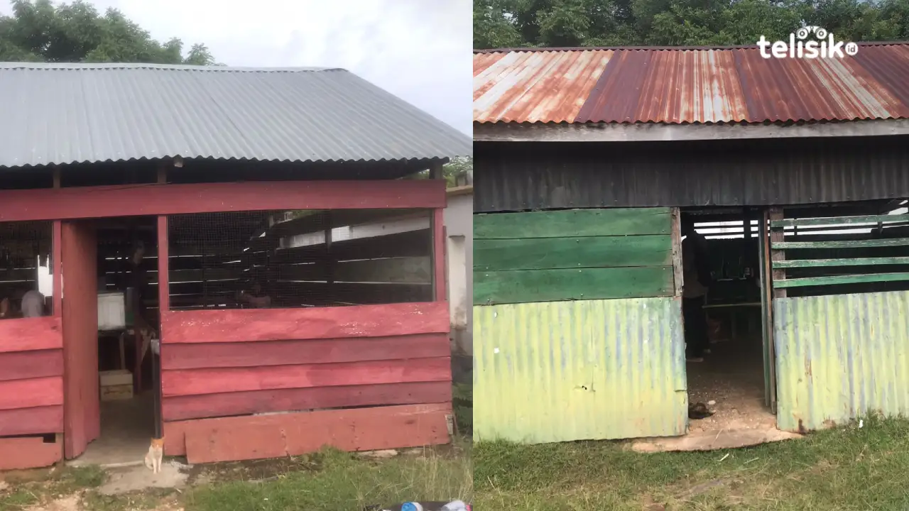 Maling Bobol Kantin SMAN 7 Bombana, Dua Kompor Gas Raib