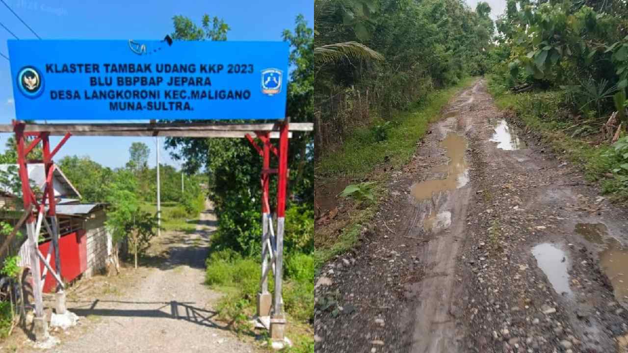 Mobil Operasional Tambak Udang Dibiayai APBN Rusak Jalan Utama Desa Langkoroni Muna