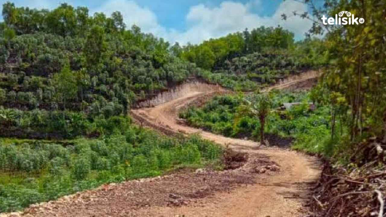 Pemdes Wasampela Buton Bangun Jalan Baru dari Dana Desa demi Petani