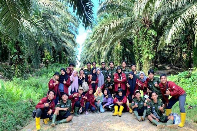 Seleksi Beasiswa SDM Sawit 2025 Resmi Dibuka untuk Ribuan Calon Mahasiswa, Ini Syarat yang Dibutuhkan