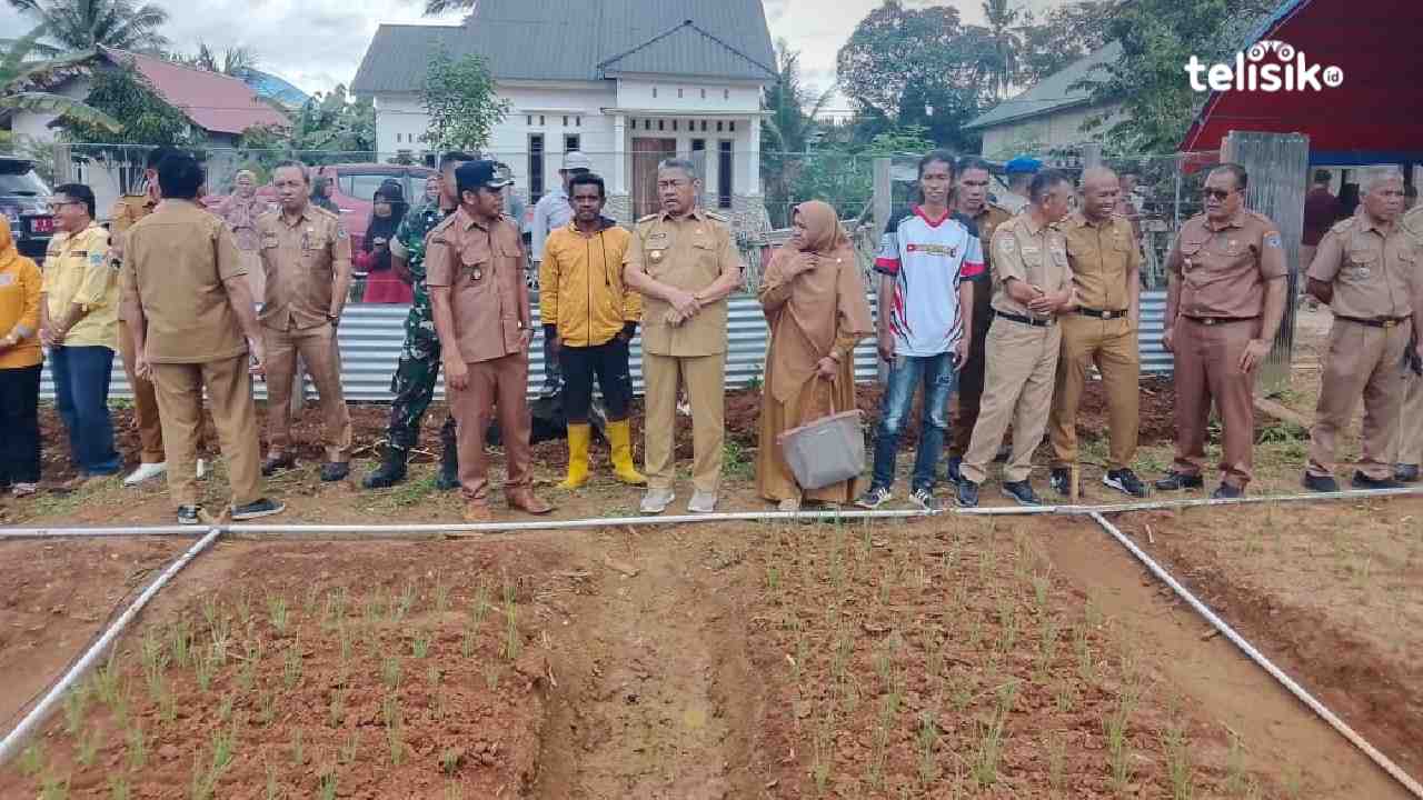 Bupati Bachrun Labuta Mau Buktikan Muna Bisa Tumbuh Bawang Merah, Bidik Desa Watondo Sentra Penghasil