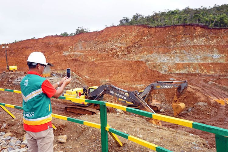 Tak Hanya PT Gag Nikel, Ini 13 Perusahaan Boleh Nambang di Hutan Lindung, Punya Izin Sejak Era Megawati