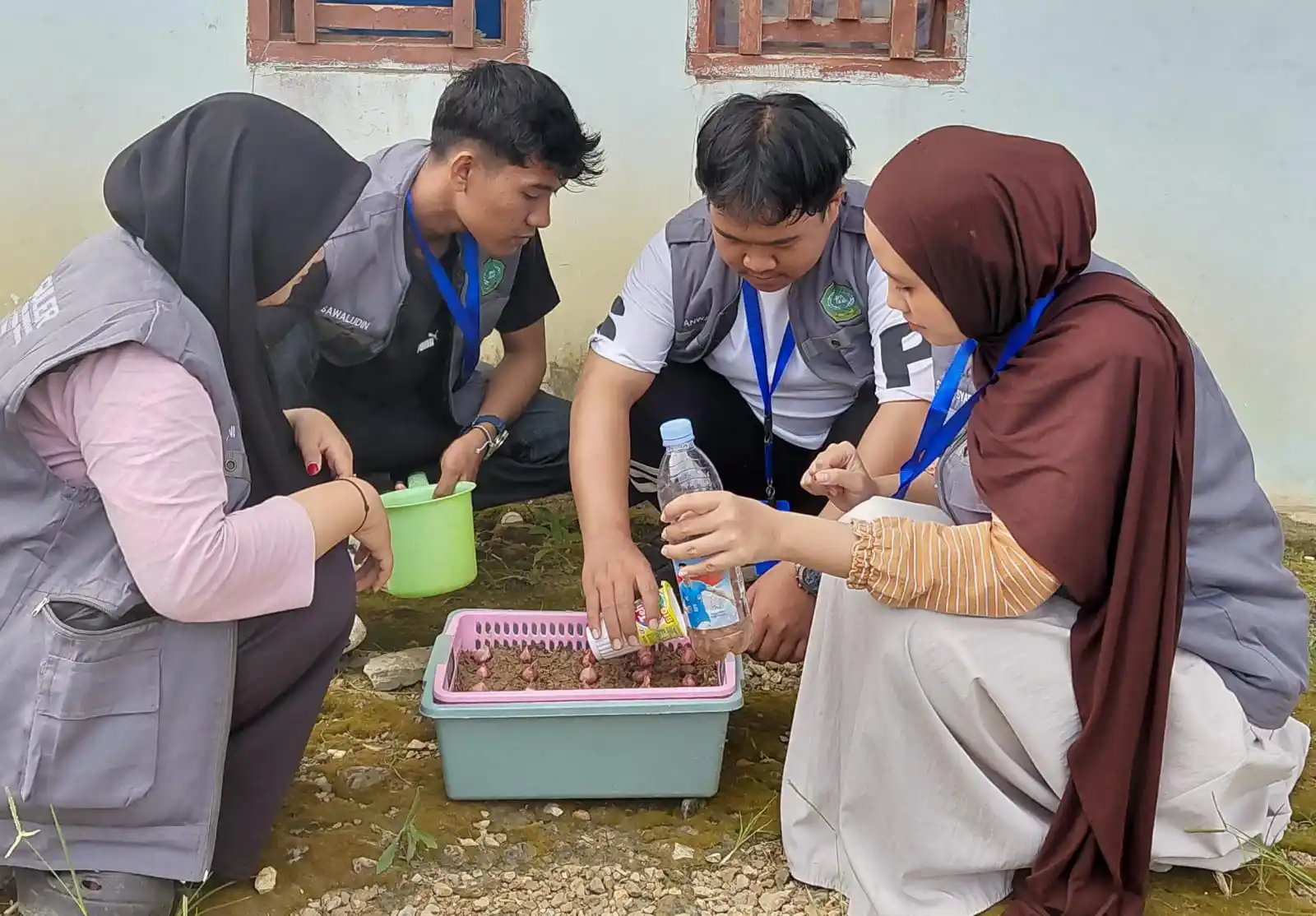 Atasi Dampak Inflasi, Mahasiswa KKN IAIN Kendari Kembangkan Urban Farming Bawang Merah di Moramo Utara