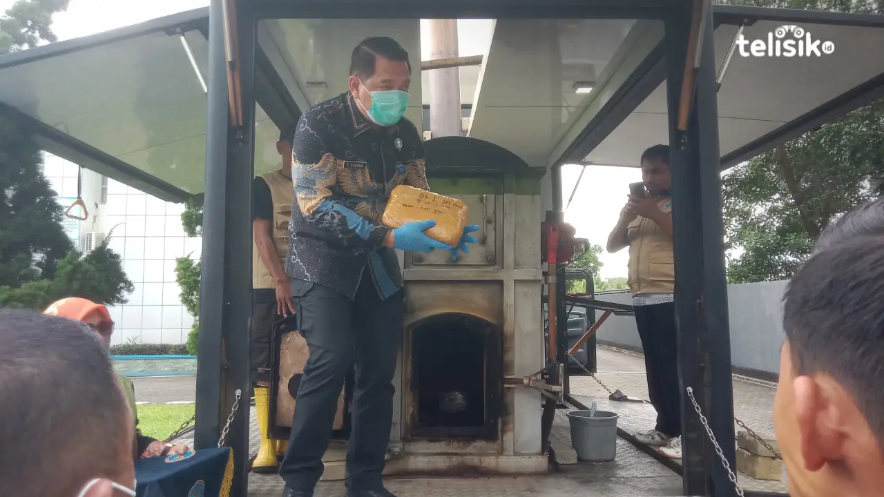 BNN Sulawesi Tenggara Musnahkan Ribuan Gram Narkotika Sabu dan Ganja, Pelaku PNS dan Pelajar