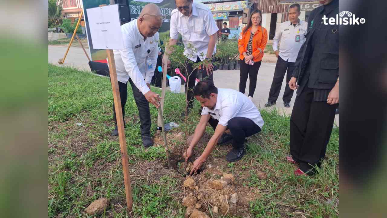CCC dan PT Carsurin Hijaukan Puuwatu Kendari dengan Tanam 150 Bibit Pohon