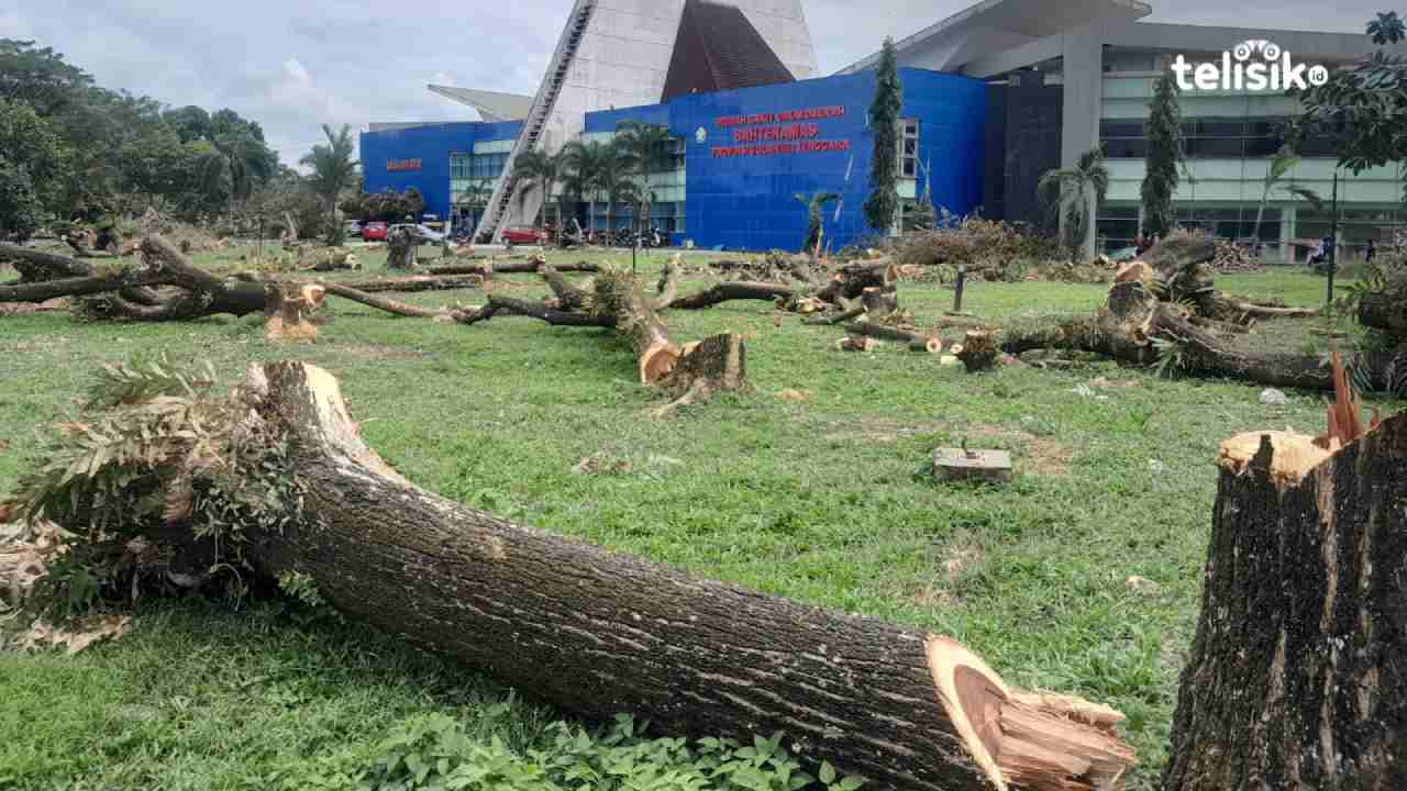Direktur RSUD Bahteramas Berkilah Tebang Puluhan Pohon karena Seram
