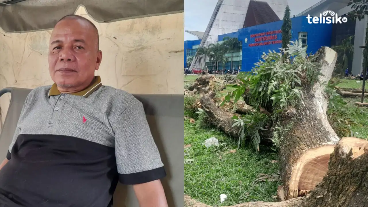 Mantan Ketua Dewas Kritik Kebijakan Penebangan Pohon di RSUD Bahteramas