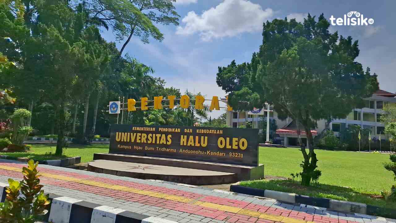 Belum Ada Plt Rektor UHO Kendari Pasca Prof Armid Meninggal, Warek II: Aturannya Pemilihan Ulang