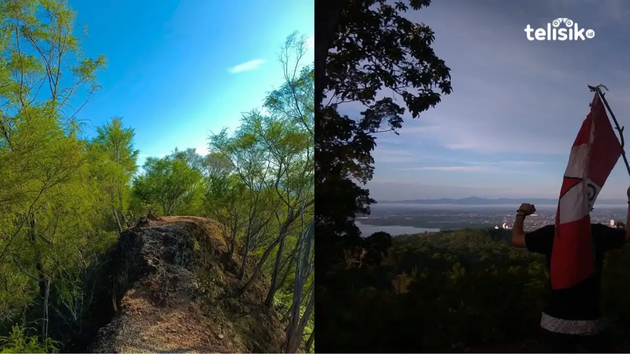 HUT RI ke-80, Ini Rekomendasi Puncak di Sulawesi Tenggara Cocok jadi Tempat Merah Putih Berkibar