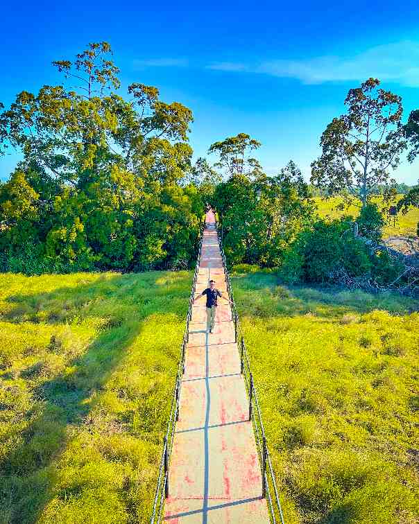 Masuk 7 Event Wisata Unggulan Sulawesi Tenggara, Ini Keunikan Taman Nasional Rawa Aopa Watumohai Konawe Selatan