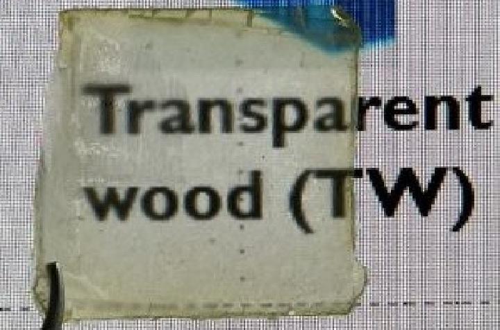 Peneliti Ciptakan Kayu Transparan dari Ekstrak Putih Telur, Siap Gantikan Kaca dan Layar HP