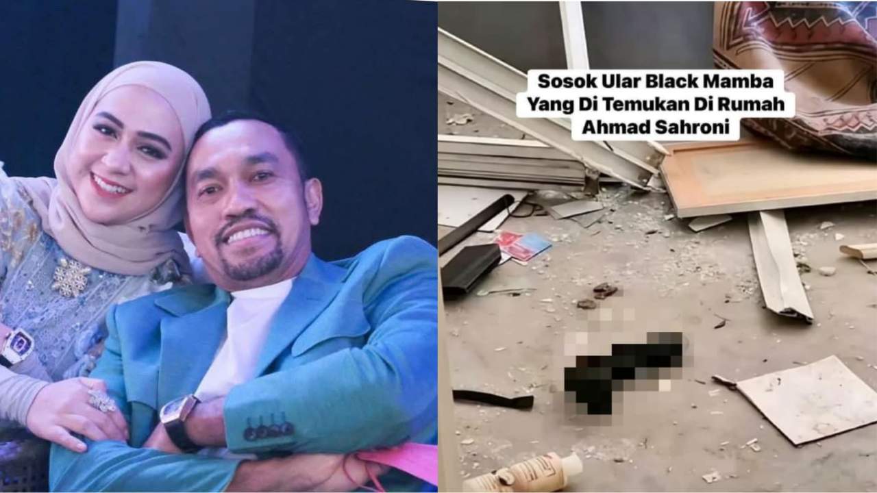 Fakta Black Mamba Disebut Milik Ahmad Sahroni, Ini Lokasi Penemuan Sebenarnya
