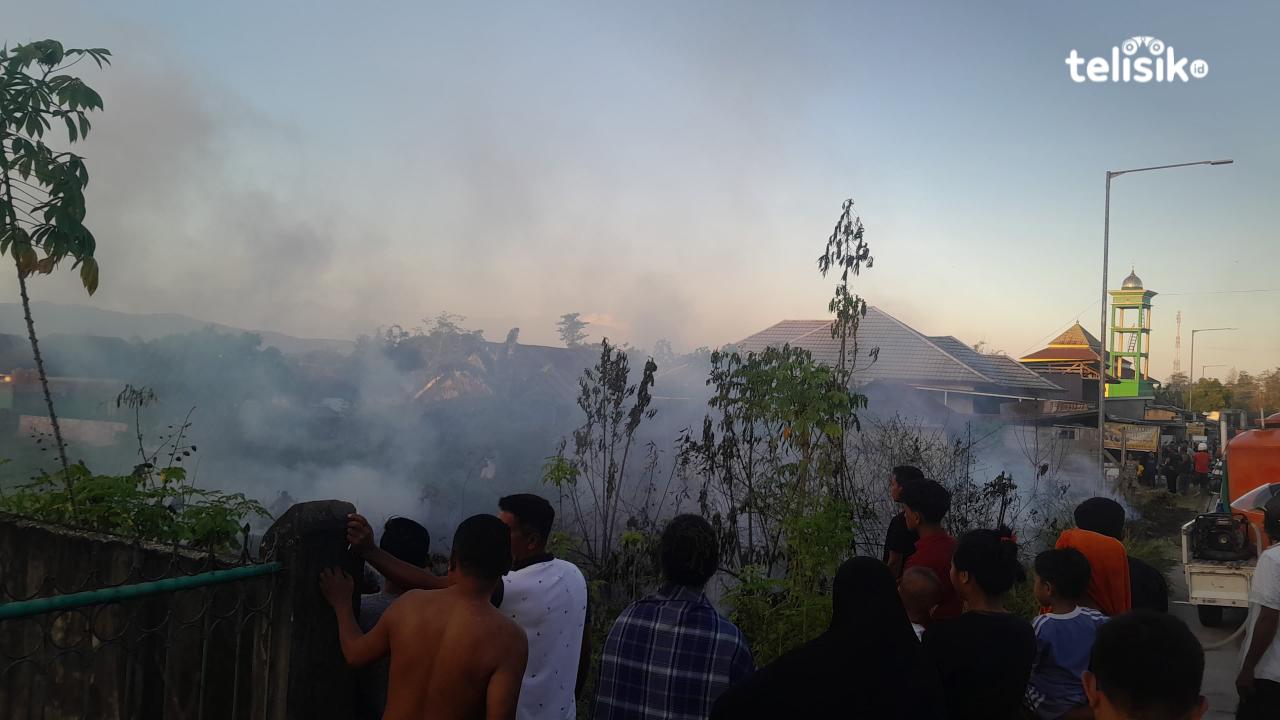 Kebakaran Lahan di Kendari Bikin Warga dan Pengendara Berebut Padamkan Api dengan Alat Seadanya