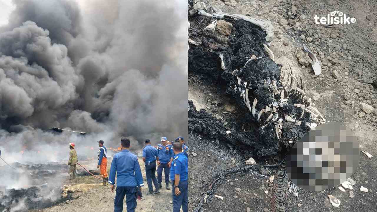 Ledakan Gudang Pengolahan Ban Bekas ke Biosolar di Konawe Selatan, 1 Pekerja Tewas  Terpanggang dan Kerugian Miliaran