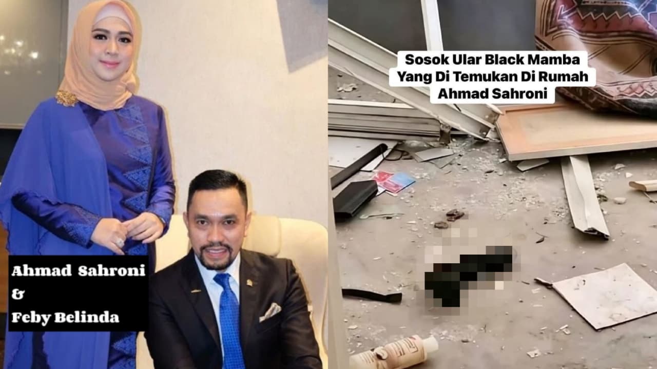 Viral Black Mamba Ditemukan saat Penjarahan Massal di Rumah Ahmad Sahroni, Begini Faktanya