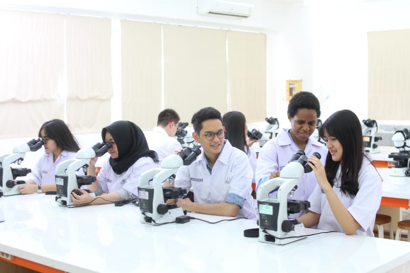 Beasiswa SDM Kesehatan 2025 Resmi Dibuka Kemenkes dari Jenjang D4 hingga S3, Berikut Tahapan dan Syarat Khususnya