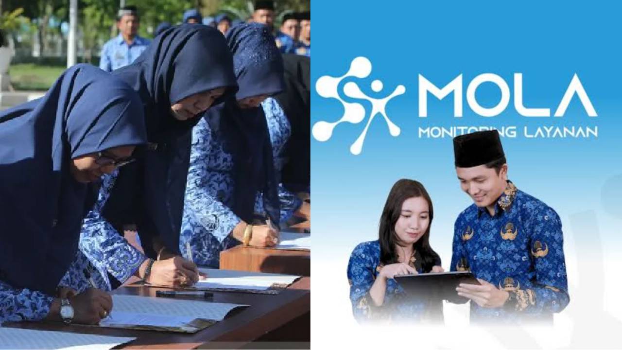Cek NIP/NI PPPK Paruh Waktu 2025 di Mola BKN, Berikut Cara Akses ke Linknya