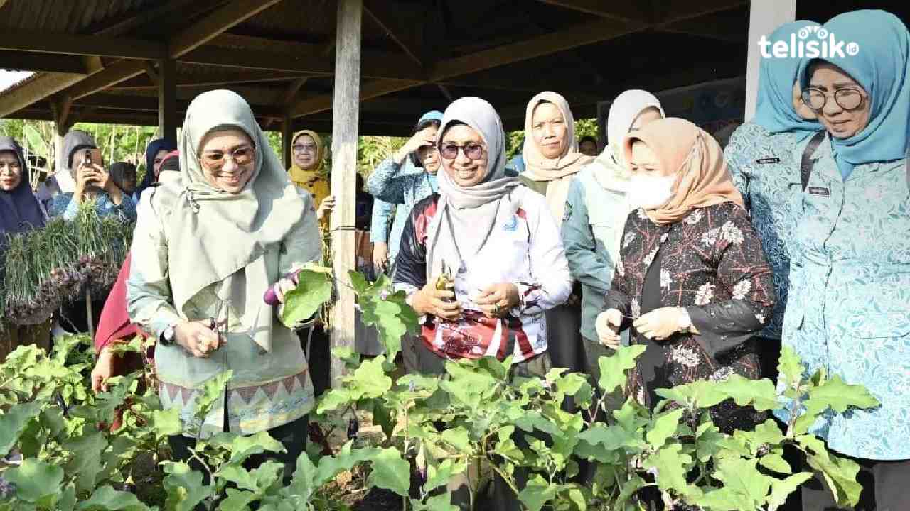 Dua Hari di Kolaka Utara, Ibu Gubernur Sulawesi Tenggara Galakan Empat Program Nyata untuk Rakyat Kecil