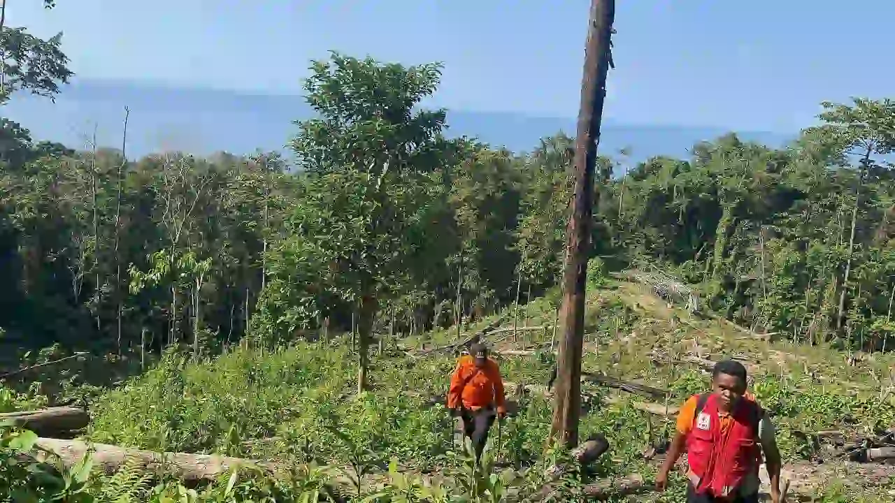 Pencarian Warga Buton yang Hilang Seminggu di Kebun Belum Ditemukan