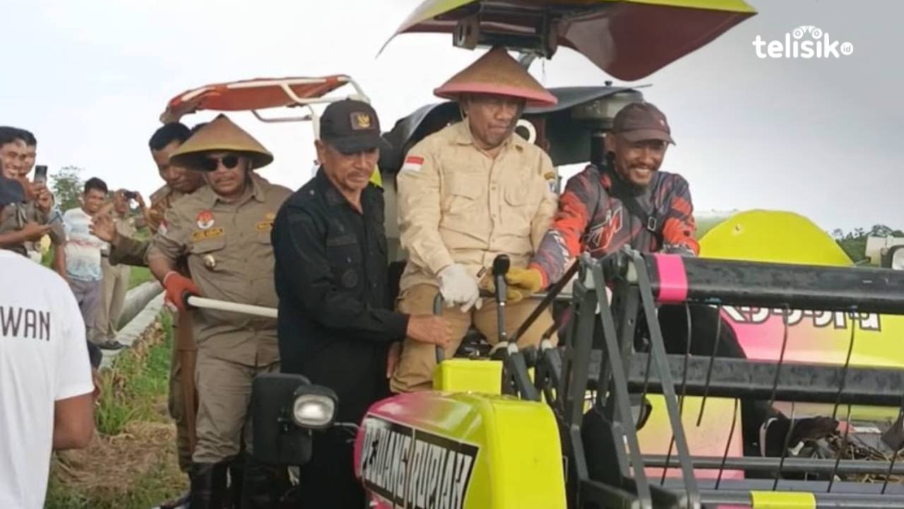 Produksi Padi Muna Melimpah, Bupati Kolaborasikan APBD dan Dana Desa