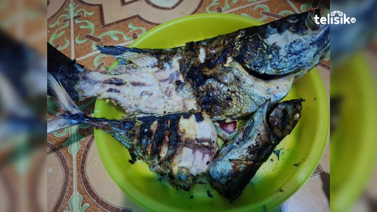 Rahasia Mengolah Ikan Bakar Paling Enak dan Nikmat