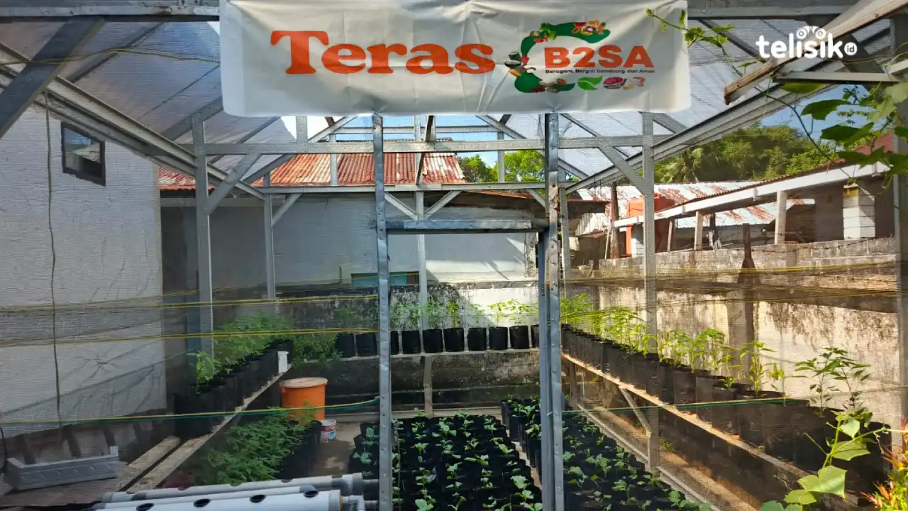 Teras B2SA, Program Dinas Ketapang Kota Kendari untuk Kontrol Ketahanan Pangan Masyarakat