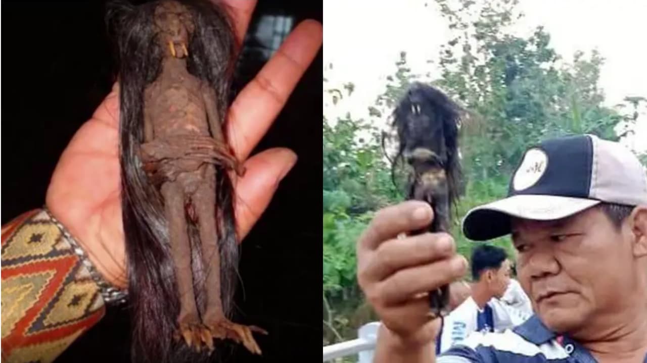 Mistik: Cerita Seram Jenglot yang Dikaitkan dengan Ilmu Bethara Karang