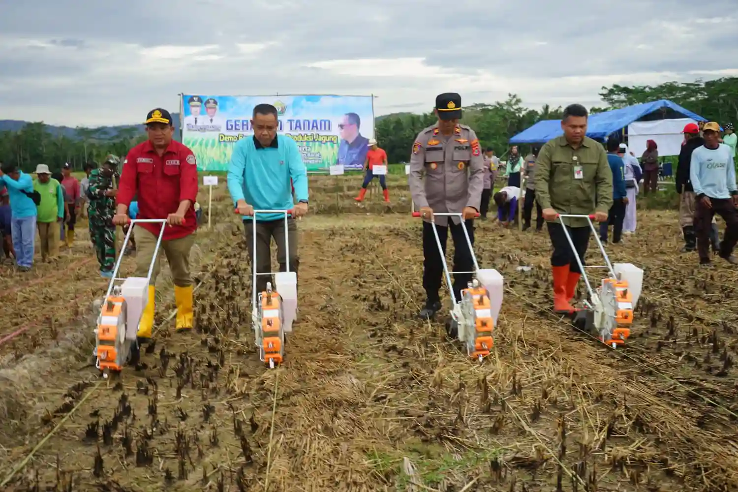 Dorong Produktivitas, Demfarm Jagung Hibrida di Konawe Selatan jadi Ruang Pembelajaran Teknologi Petani