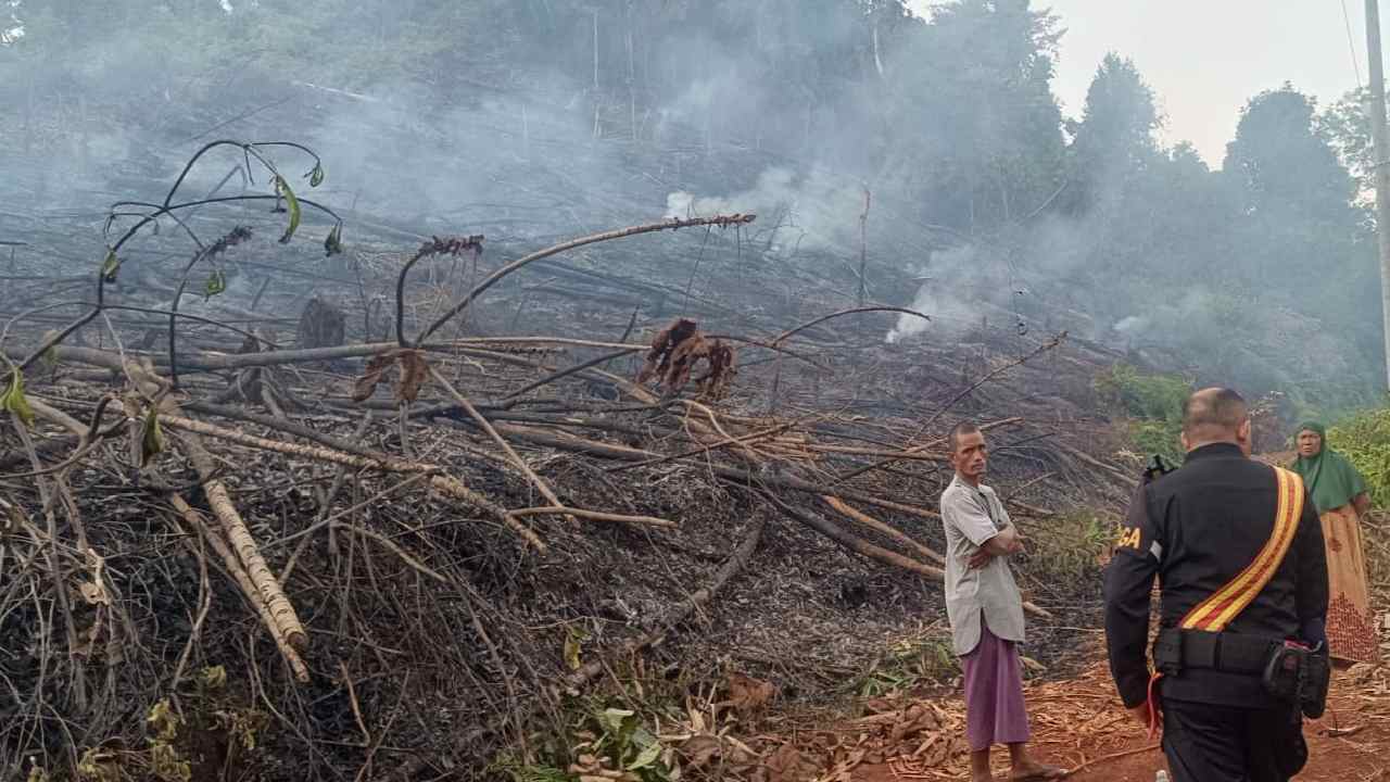 Kebun Merica dan Cengkeh Seluas Satu Hektare Terbakar di Kolaka Utara