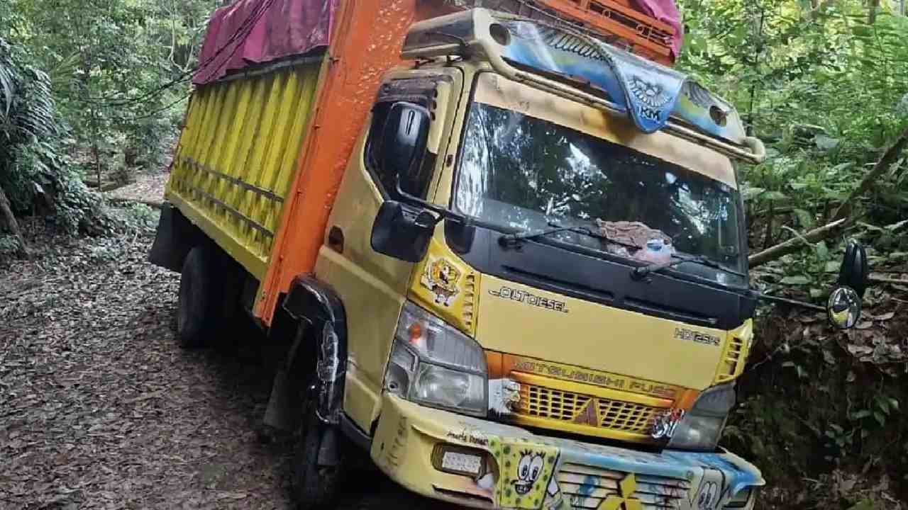 Mistik: Cerita Horor Sopir Truk Ekspedisi Tak Sadar Nyasar ke Tengah Hutan