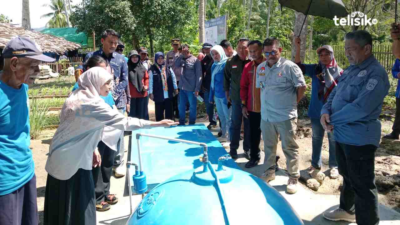 Yayasan Hutan Biru Sukses Rehabilitasi 300 Hektare Hutan Mangrove di Muna dan Mubar