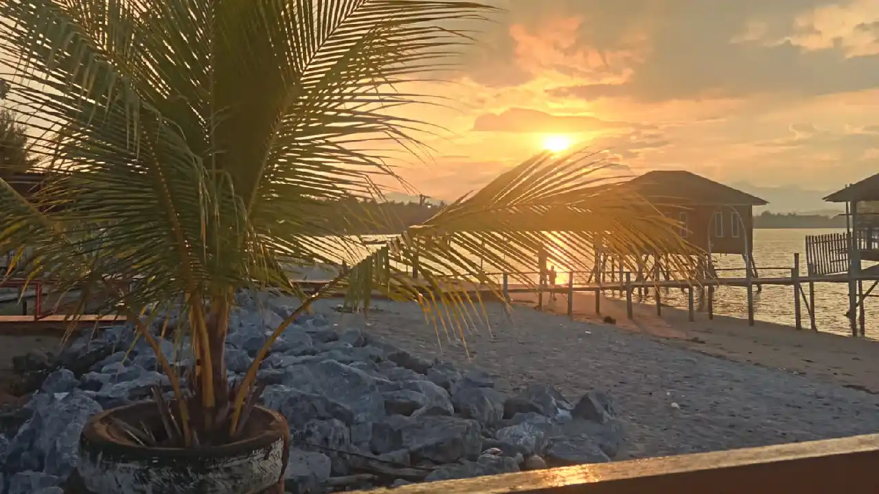 Menikmati Sinole, Hidangan Favorit Desa Ulu Sawa Konawe Utara