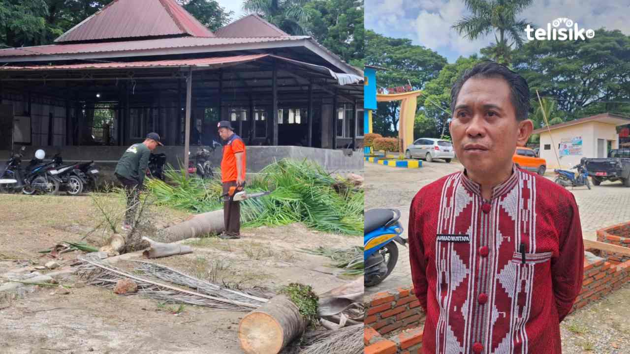 SMK Negeri 2 Kendari Lakukan Mitigasi Dini, Pangkas Pohon Rawan Tumbang Hadapi Cuaca Ekstrem