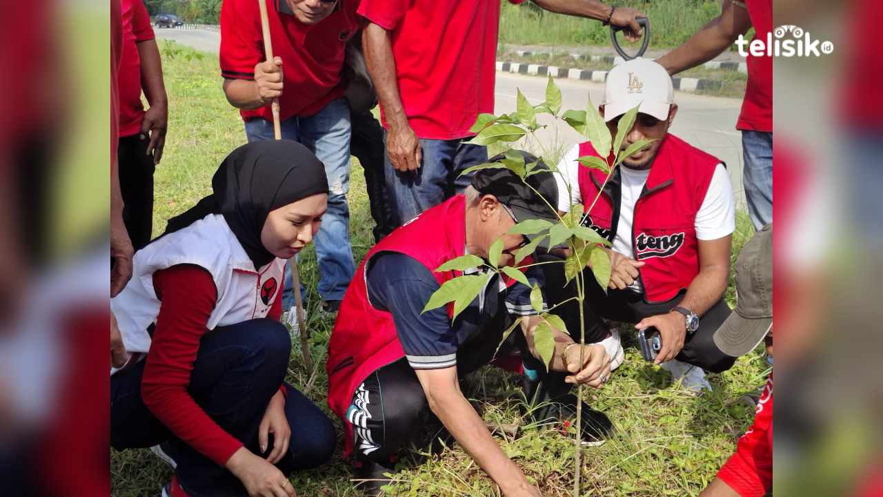PDI Perjuangan Tanam 200 Tabebuya dari Target 1.000 Pohon untuk Sejukkan Kendari