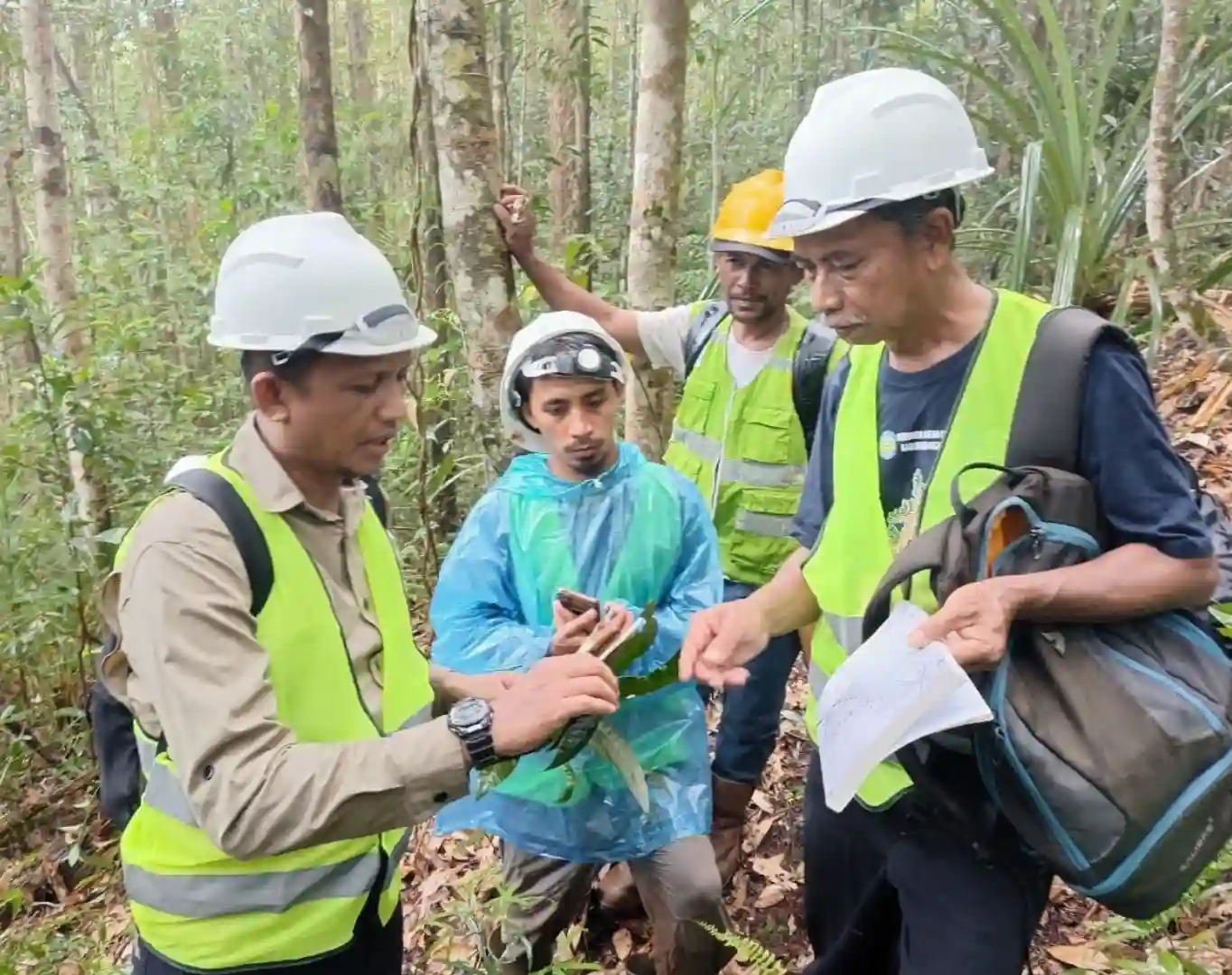 Catatan Tiga Tahun Riset Biodiversitas Wawonii: Dorong Pengelolaan Lingkungan Berbasis Data
