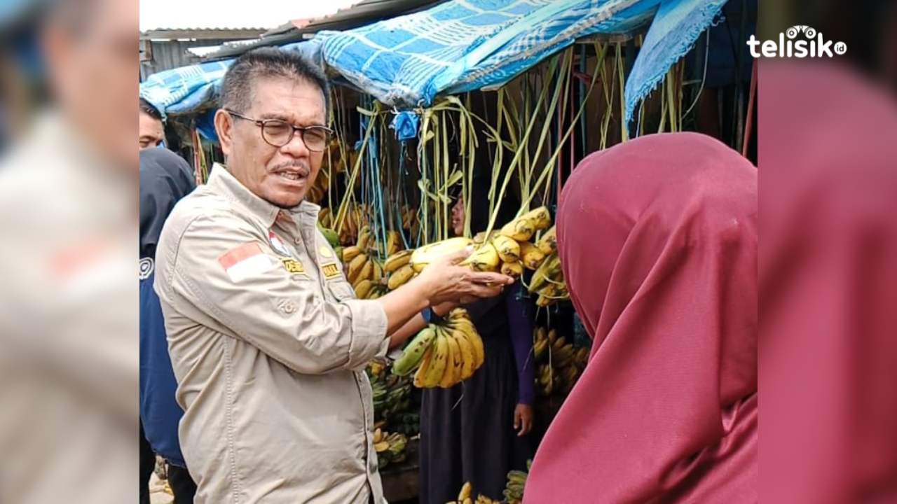 Kebutuhan Pembukaan Bulan Puasa, Harga Pisang di Muna Melonjak Naik