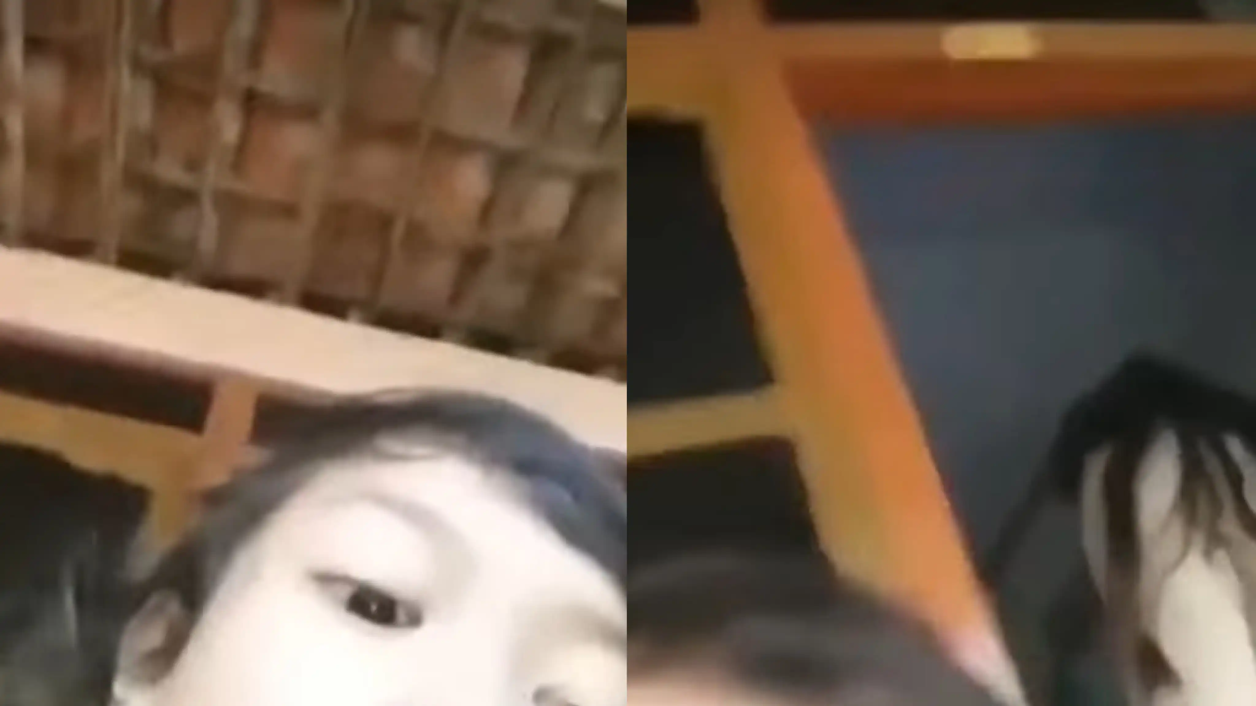 Mistik: Penampakan Terseram Kuntilanak Mbak Dini yang Viral di Medsos, Begini Sosoknya