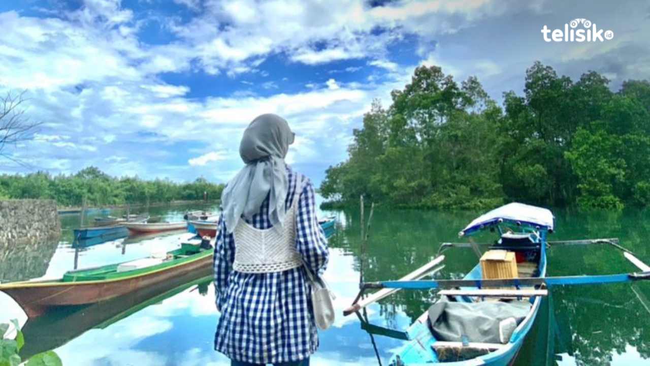 Pemkot Baubau Targetkan Mangrove Lakologou Jadi Role Model Nasional Blue Carbon