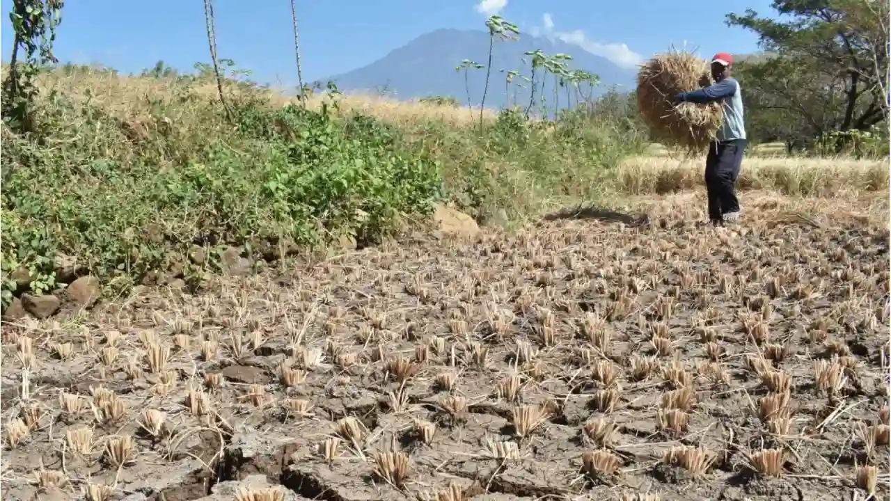 Kemarau Panjang Indonesia Dimulai April 2026, Berikut Daftar Wilayahnya
