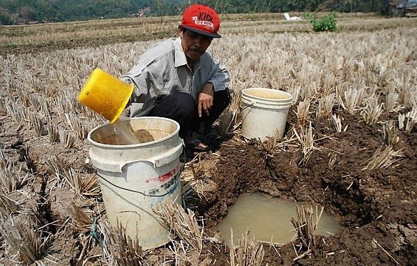 Musim Kemarau 2026 Berlangsung Lebih Lama, Berikut Penyebaran Daerah Berdampak Terkering