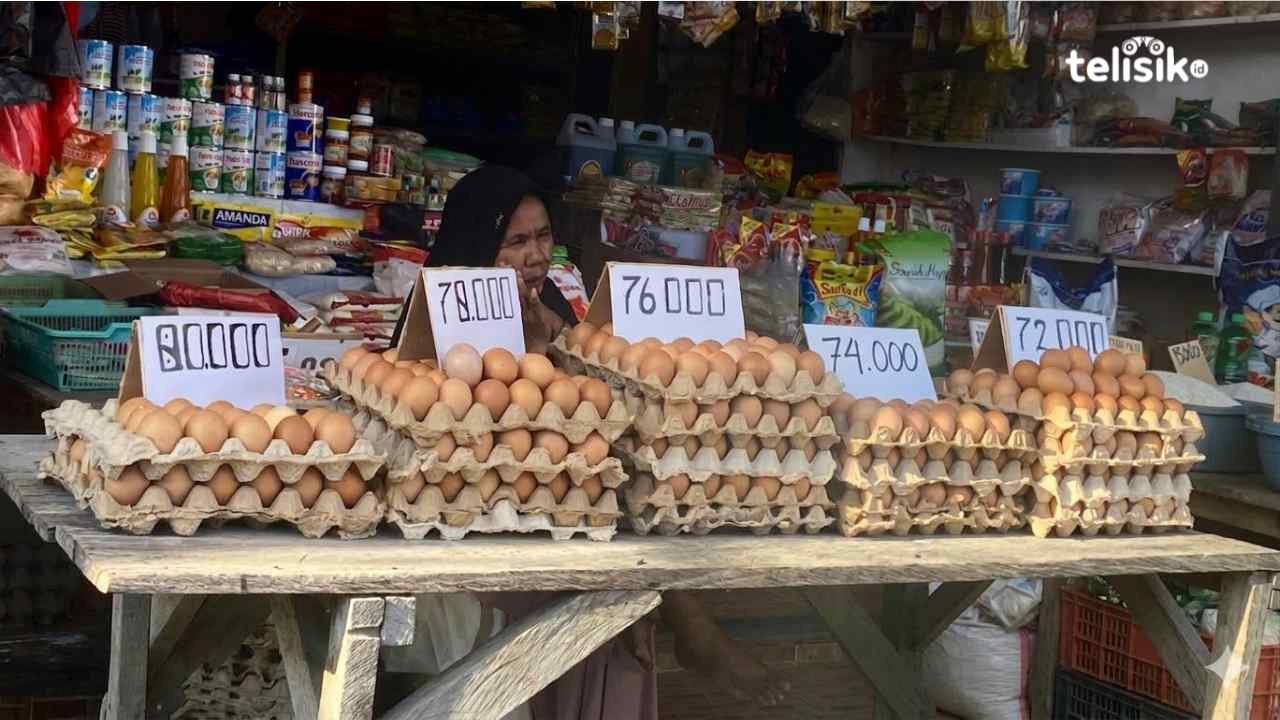Telur Tembus Rp 80 Ribu di Baubau, Pedagang Sebut MBG Picu Lonjakan Harga